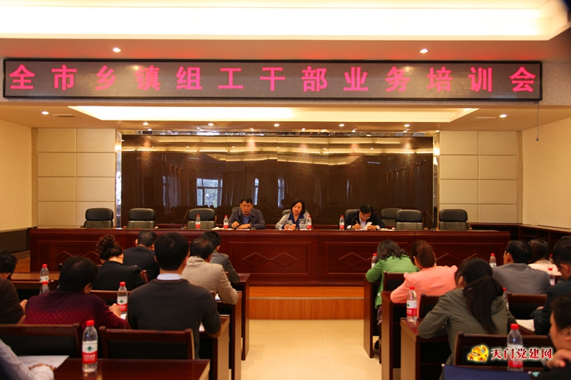 市委组织部召开全市乡镇组工干部业务培训会