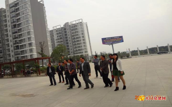 杨林办事处赴仙桃参观学习推动双剅口村党建示范点建设