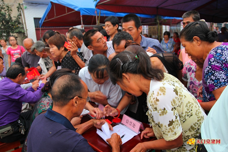 全市村“两委”换届选举试点观摩会召开
