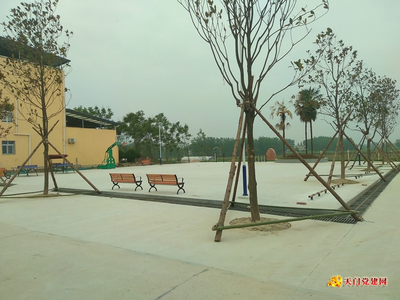 马湾镇:发挥党建引领作用,促产业振兴建美丽乡村