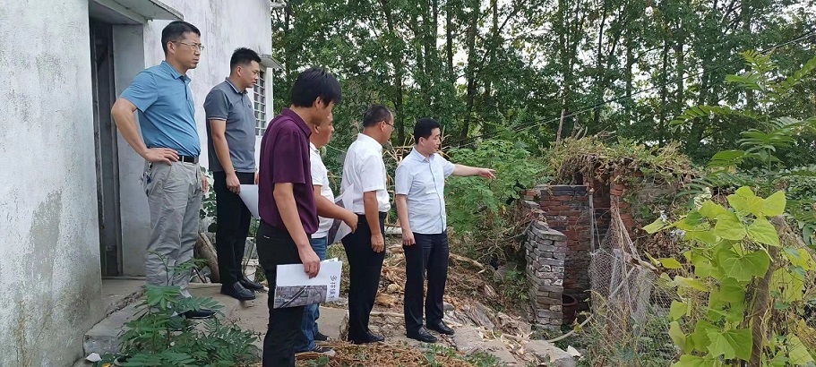 王桂峰到多祥镇东号子村调研美好环境与幸福生活共同缔造活动