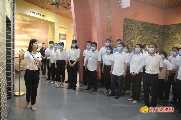 我市举行新发展党员集中宣誓活动
