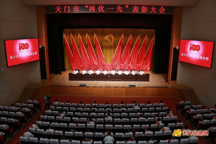 我市召开“两优一先”表彰大会