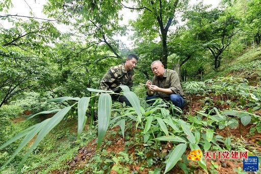 让更多千里马竞相奔腾于伟大时代——以习近平同志为核心的党中央引领推动人才工作纪实
