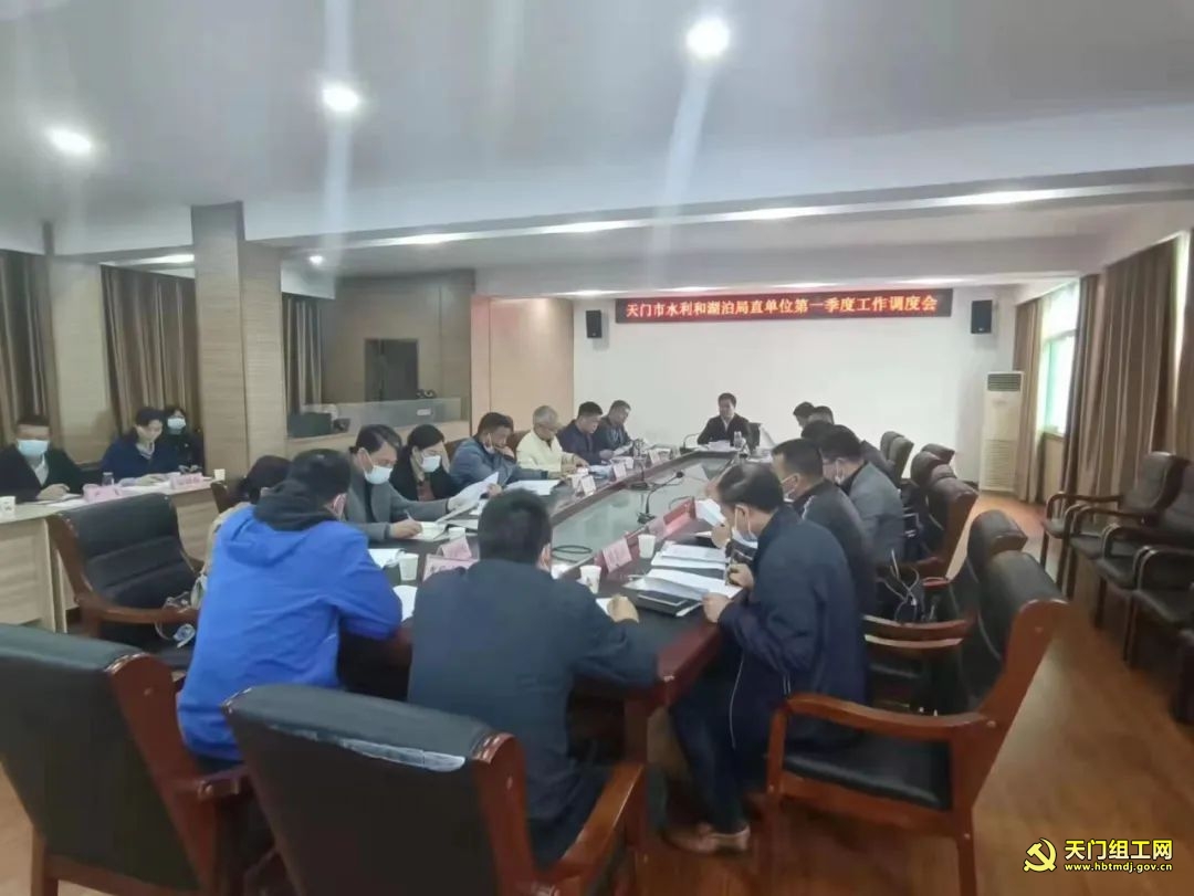 市水利和湖泊局召开2022年第一季度基层党建工作推进会
