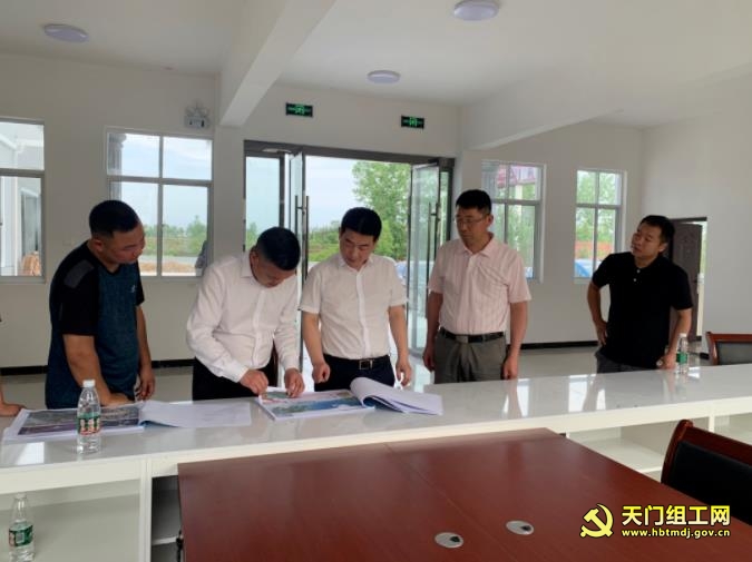 王桂峰赴皂市镇调研指导红色美丽村庄建设工作