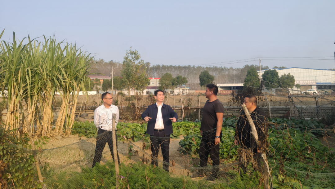 王桂峰调研共同缔造和机关窗口党建工作