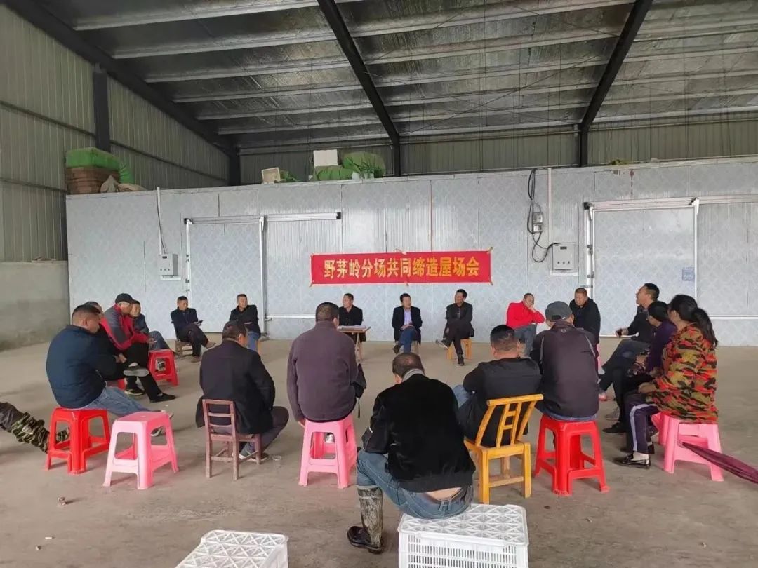 蒋湖农场:“祛瘀通络”惠民生