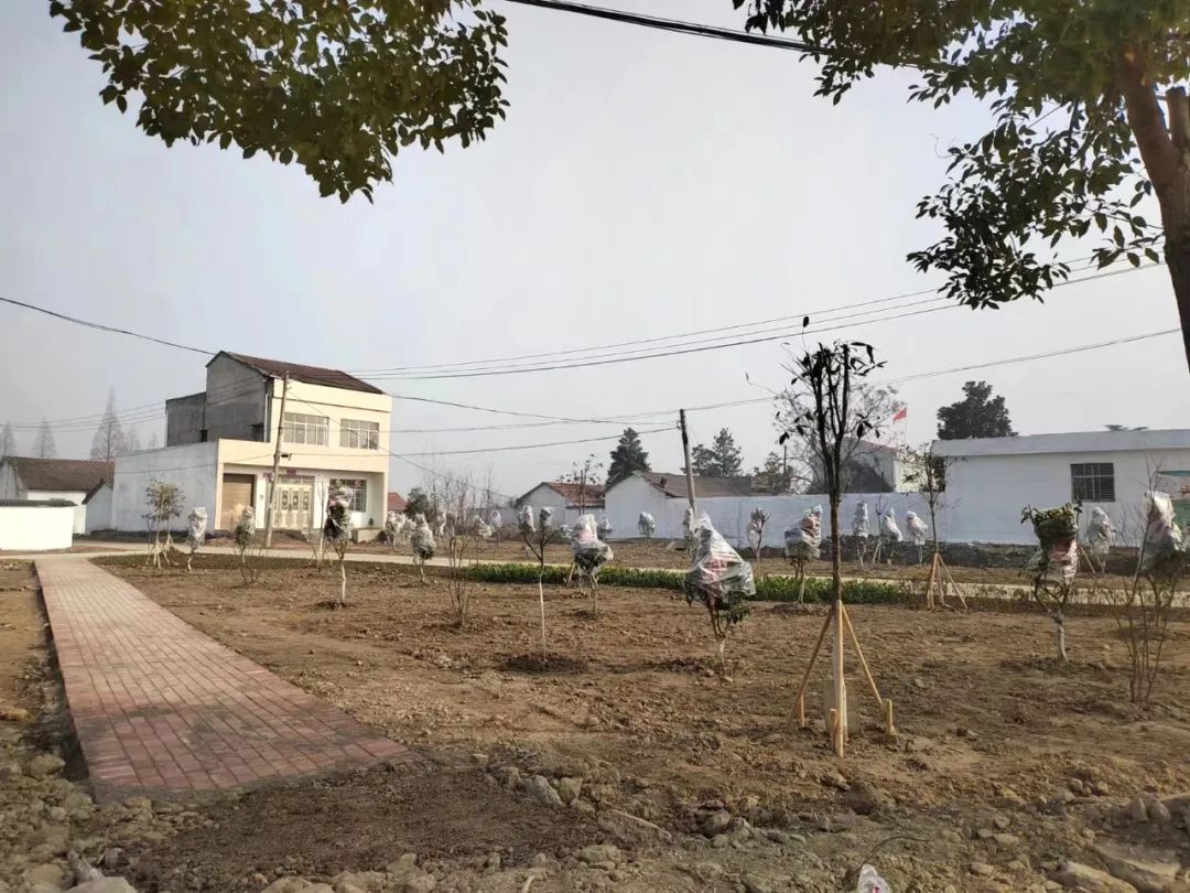 蒋湖农场:“祛瘀通络”惠民生