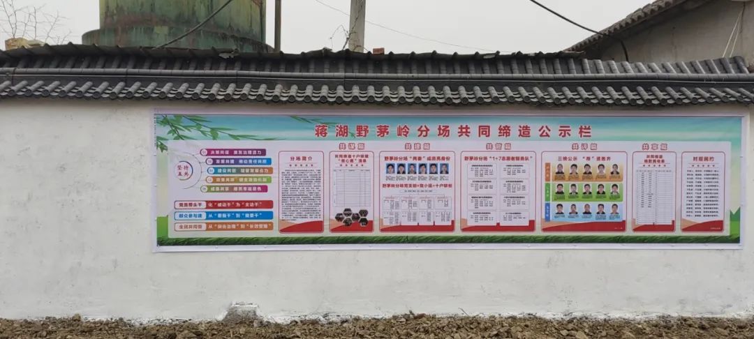 蒋湖农场:“祛瘀通络”惠民生
