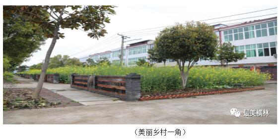 横林镇:扮靓环境迎新春